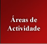 &Aacute;reas de Actividade